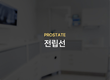 전립선